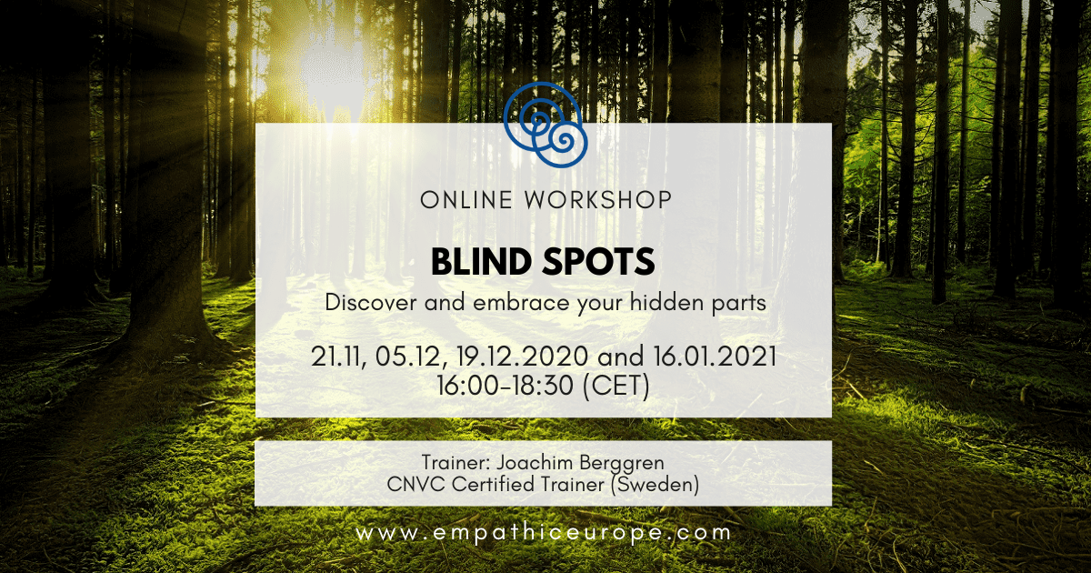 Blind Spots – Discover and embrace your hidden parts