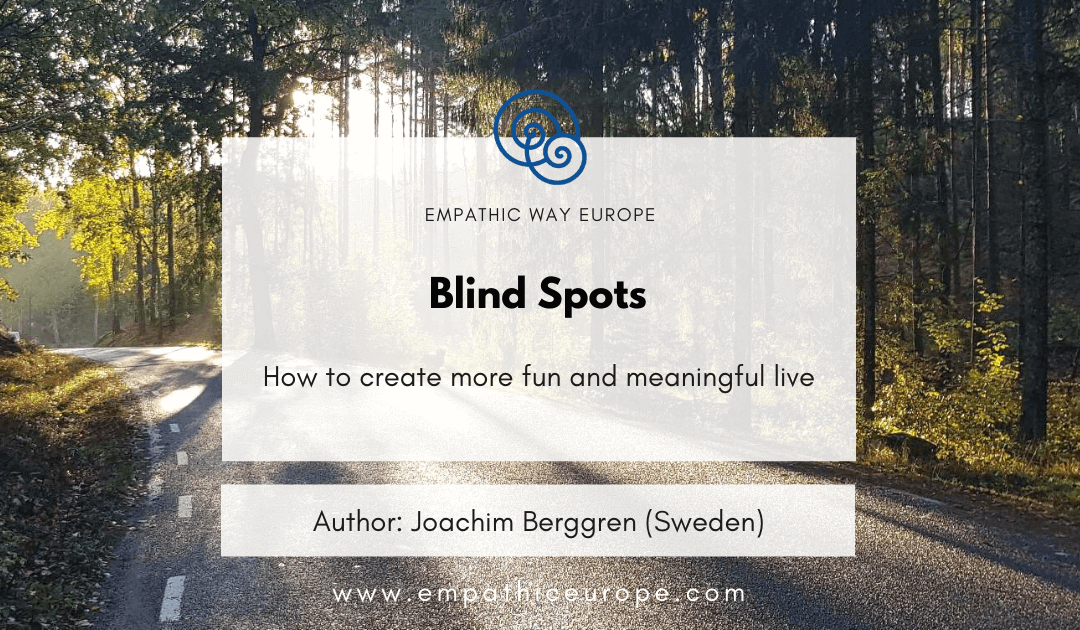 Blind Spots Joachim Berggren