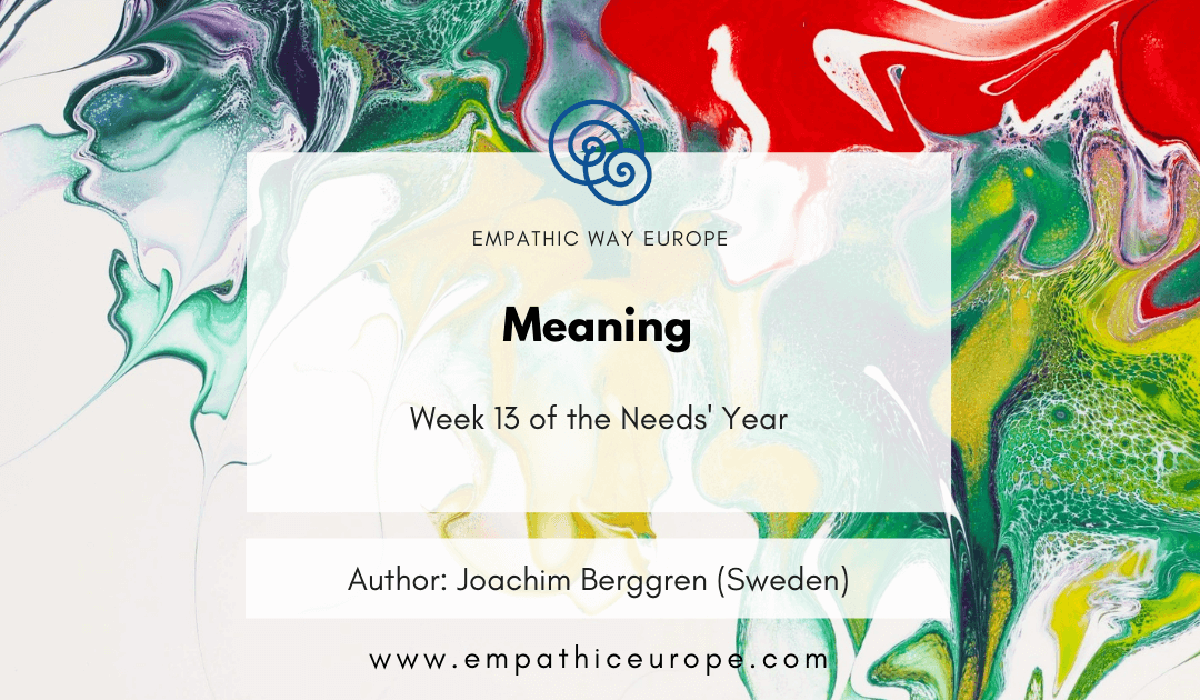 The need for Meaning Blog Empathic Way Europe